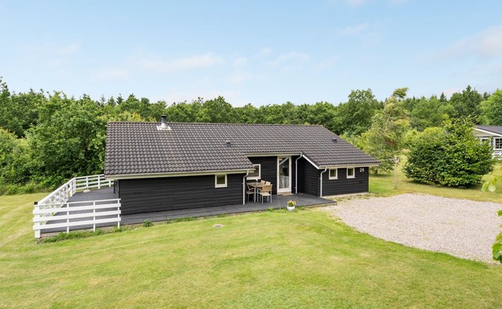 "Tatti" - 30km from the sea in Western Jutland 1