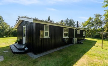 "Felippa" -  from the sea in NE Jutland 3