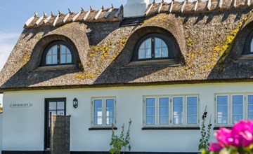 "Susan" - 20m from the sea 2