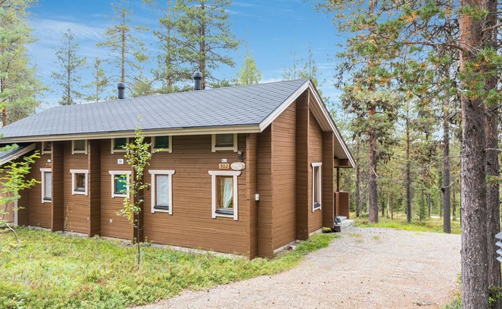 Downy owl (apartment 902) 1