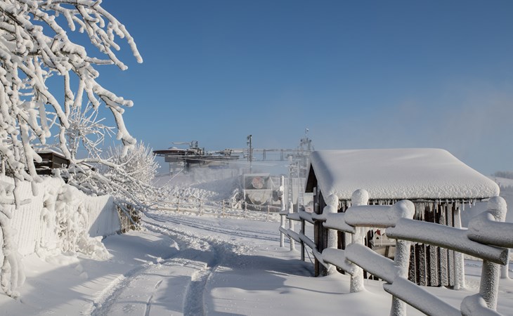 Ferienwohnung Winterberg „Kleines Glück“: Ihr perfekter Ausgangspunkt im Sauerland (Winterbergerstraße 3 | Winterberg-Neuastenberg 1