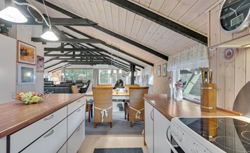 "Feliza" - uit de zee in NO Jutland 2