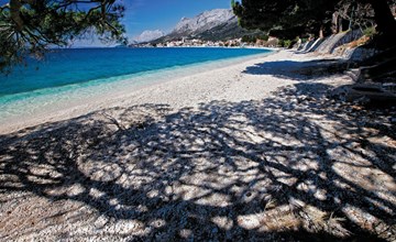 mit privatem Parkplatz 3