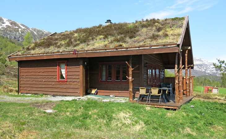 Ameisennetz (FJS051) 1