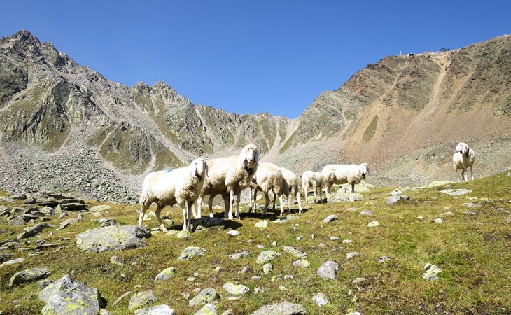 Alpenblick (SOE750) 1