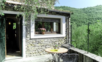 Asplanato (DOL160) 2