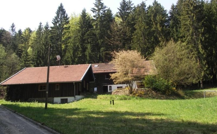 Quellenhof Kollnburg 1