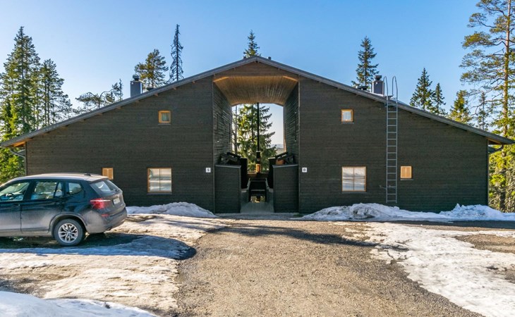 Der Jubel des Bärenwächters b2 1