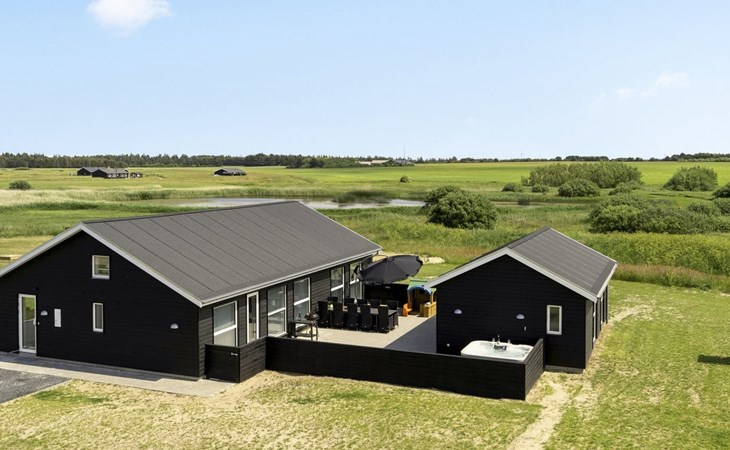 "Edgar" - 1.5km from the sea in NW Jutland 1