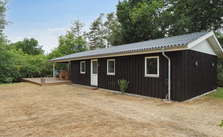 "Adam" - uit de zee in NO Jutland 1