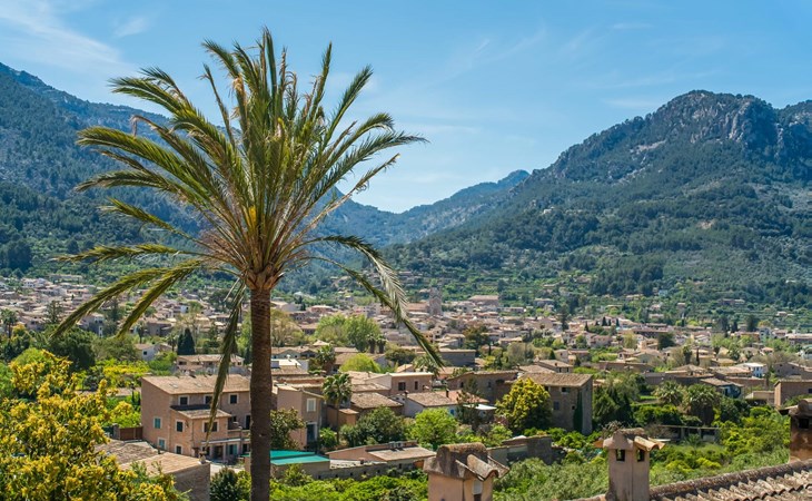 Arbona Soller 1