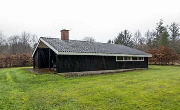 "Hardy" - 30km from the sea in Western Jutland 3