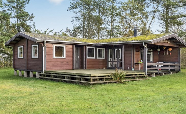 "Artur" - 1,5 km van de zee in Noordwest-Jutland 1