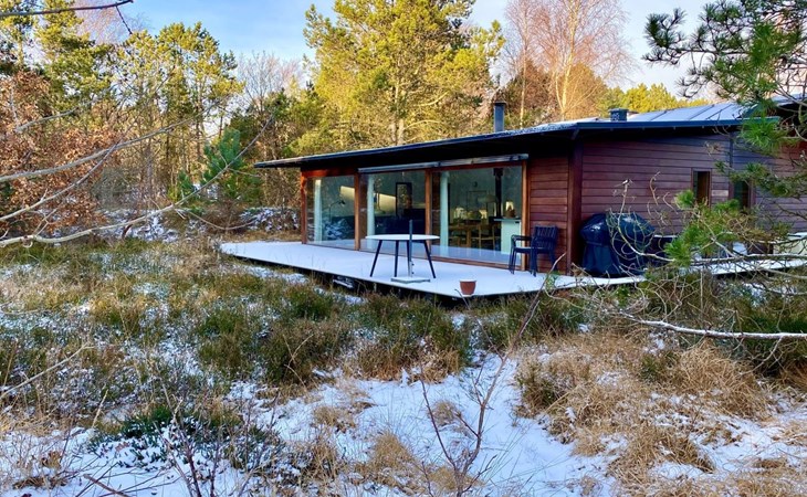 "Felia" - 500m from the sea in NE Jutland 1