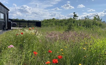 „Anelle“ – 500 m vom Meer entfernt in Südostjütland 3