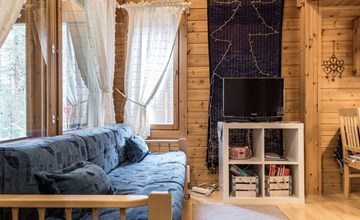 Downy owl (apartment 902) 2