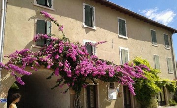 Pomelo einzigartige Atmosphäre im ehemaligen Gärtnerhaus 2