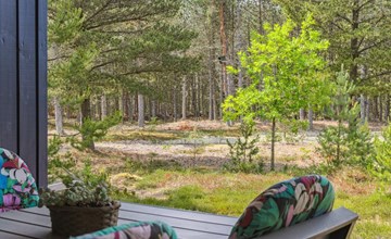 „Andy“ – 600 m vom Meer entfernt in Nordostjütland 3