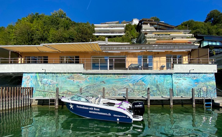 Seestern direkt am See 1