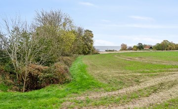 "Ejna" - 400m from the sea 3