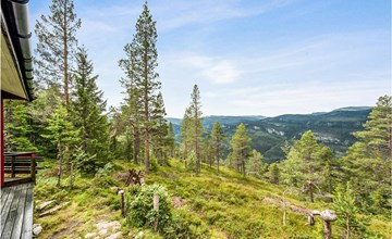 3 bedroom amazing home in Eggedal 2