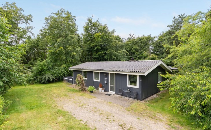 "Massie" - 30km from the sea in Western Jutland 1