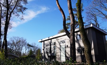 Tinyhouse comfort | 4 persoons 3