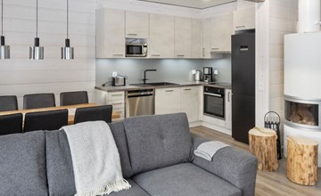 Levi's wolverine court 2b 2