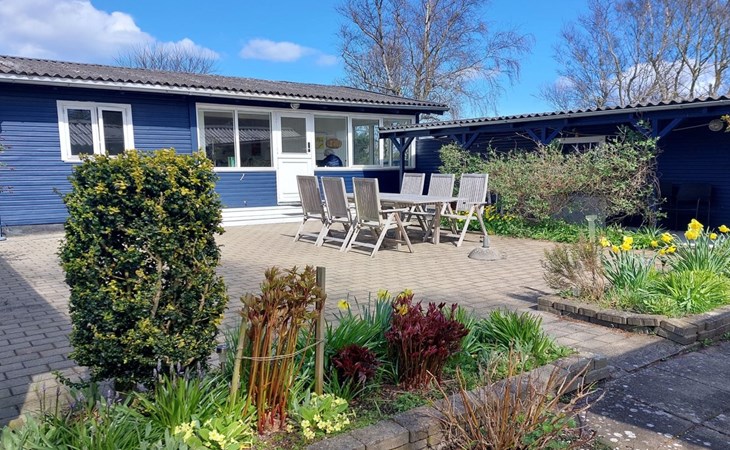 "Riki" - 100m from the sea 1