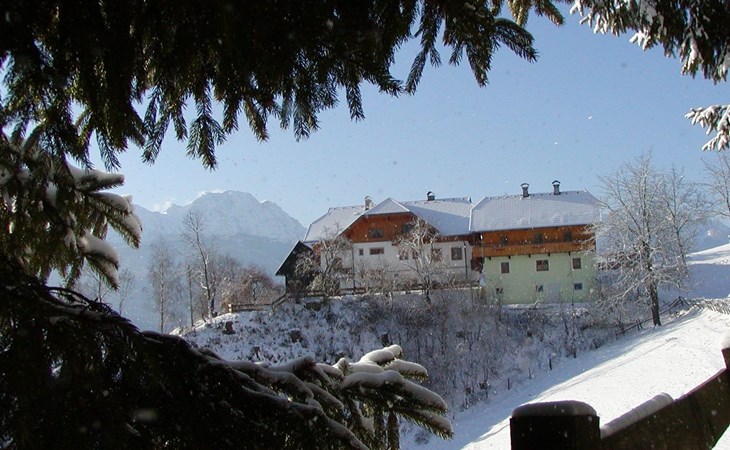 Waldpension in Steinfeld 1