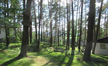 Ferienhäuser mit Pool in ruhiger Lage am Waldrand 2