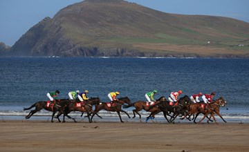 Dingle Bay View (TR2) 3