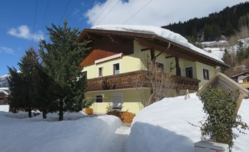 Faulhaber (PET130) 2