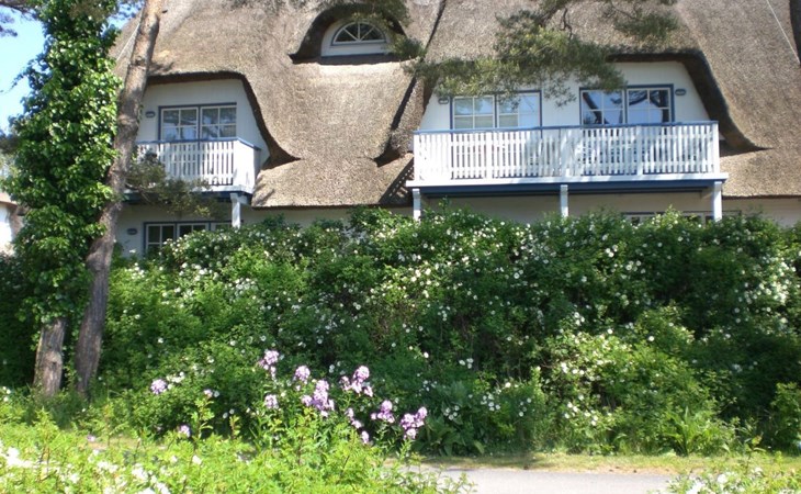 Appartement Achtern-Diek-am-Strand in Zingst 1