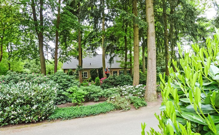 Bewaldetes Ruighenrode 1