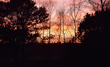 "Østmar" - 1,2 km van de zee in NO Jutland 3