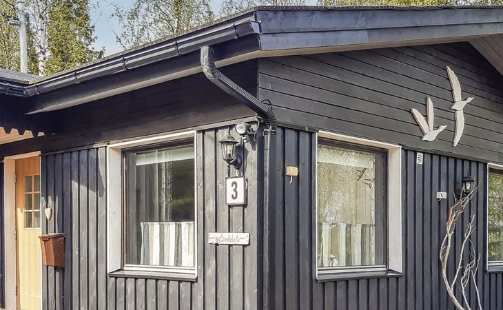 Mustalampi 3 Lintukoto 1