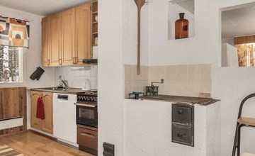 Koivulahti reindeer 2