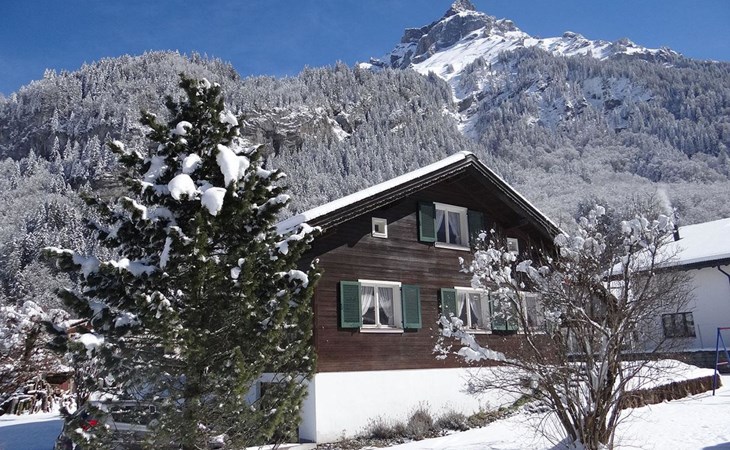 Chalet Fluegärtli 1
