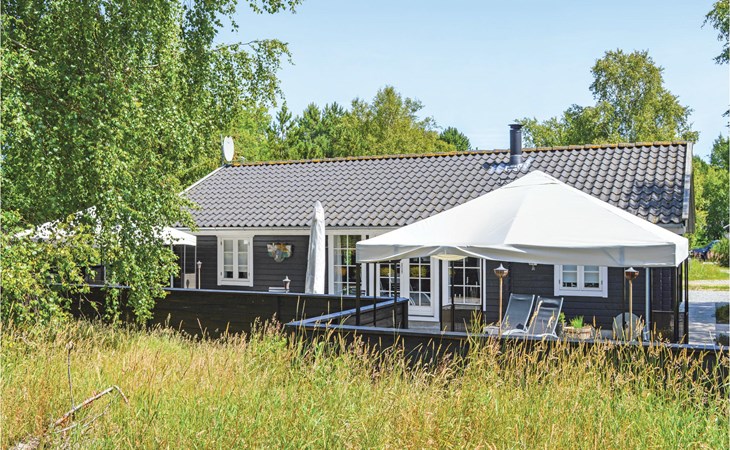Pet friendly home in ålbæk with WiFi 1
