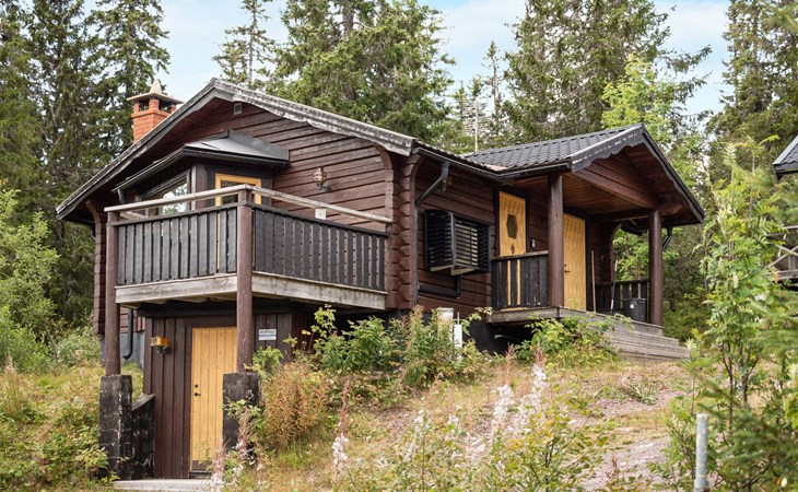 Korpstigen Renen (DAN074) 1