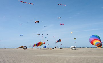 "Paula" - 2.3km from the sea in Western Jutland 2