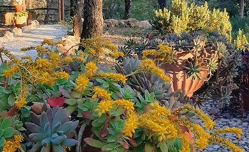 Drei-Zimmer-Wohnung im Bauernhaus 3