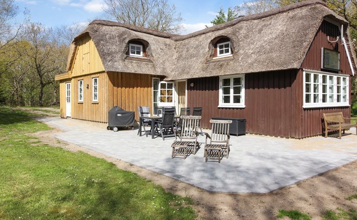 "Fina" - 15km from the sea in Western Jutland 1