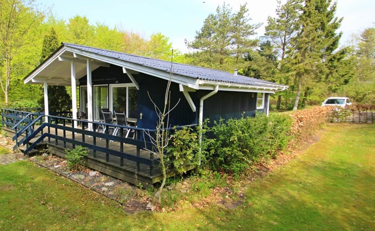 "Aki" - 30km from the sea in Western Jutland 1