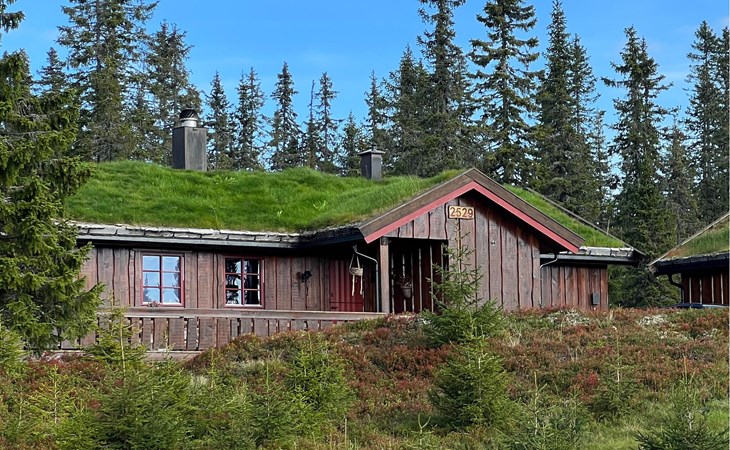 Nice home in Sjusjøen with sauna 1