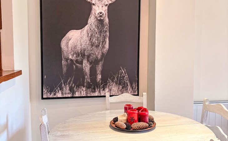 Gemütliche Familienwohnung Muntanyó 1 Vall de Boí 1