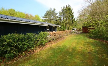 "Aki" - 30km from the sea in Western Jutland 3