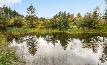 „Hereth“ – 700 m vom Meer entfernt in Nordwestjütland 3