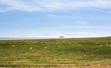 "Reinhold" - 1.9km from the sea 2